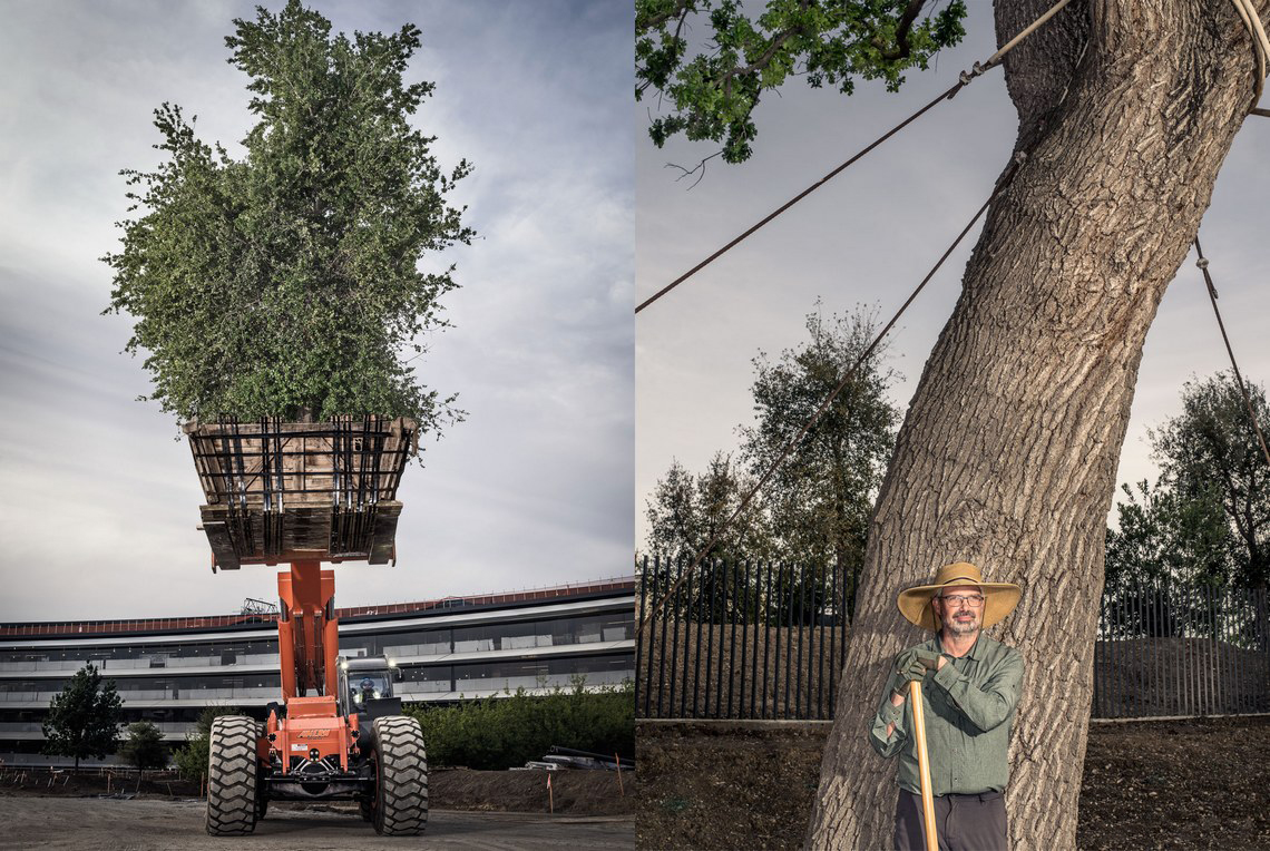 apple特别活动applepark,苹果总部applepark可以参观吗