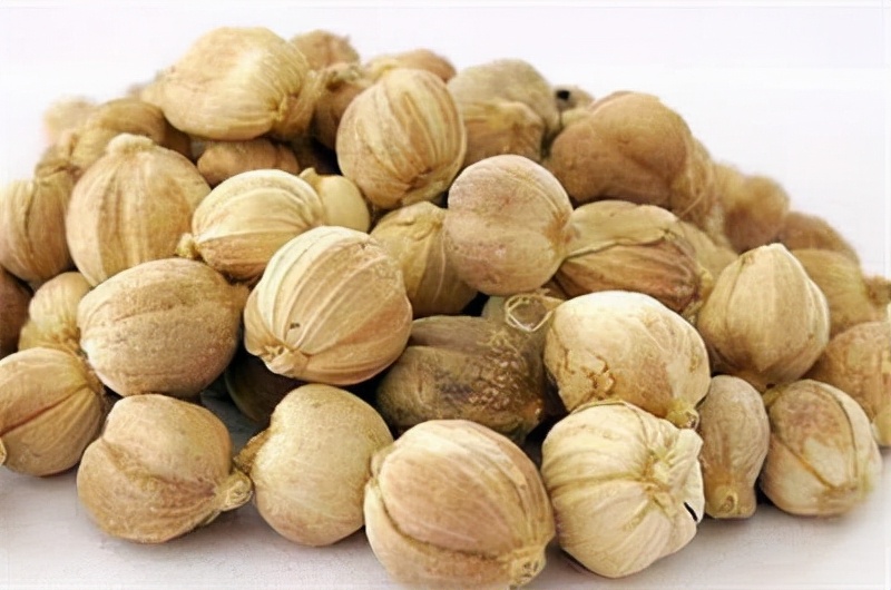 中药白豆蔻功效与作用及禁忌,白豆蔻中药和白豆蔻香料有区别吧