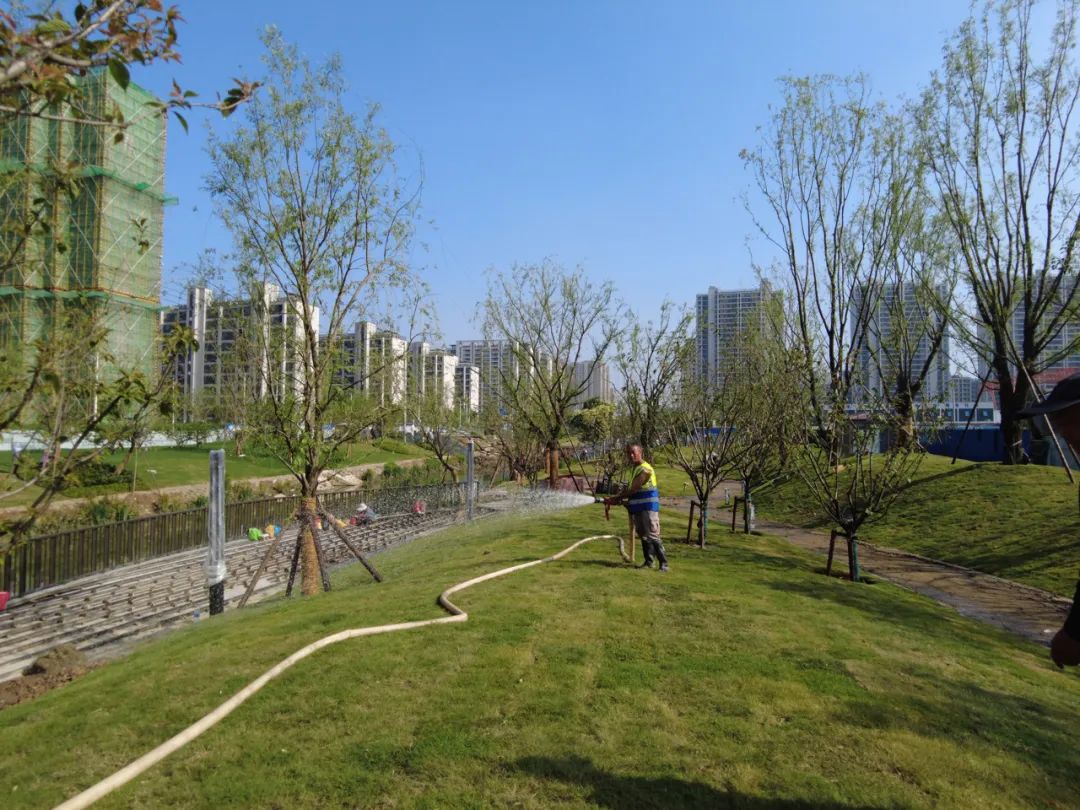 被学校包围了,被学校围绕的小区