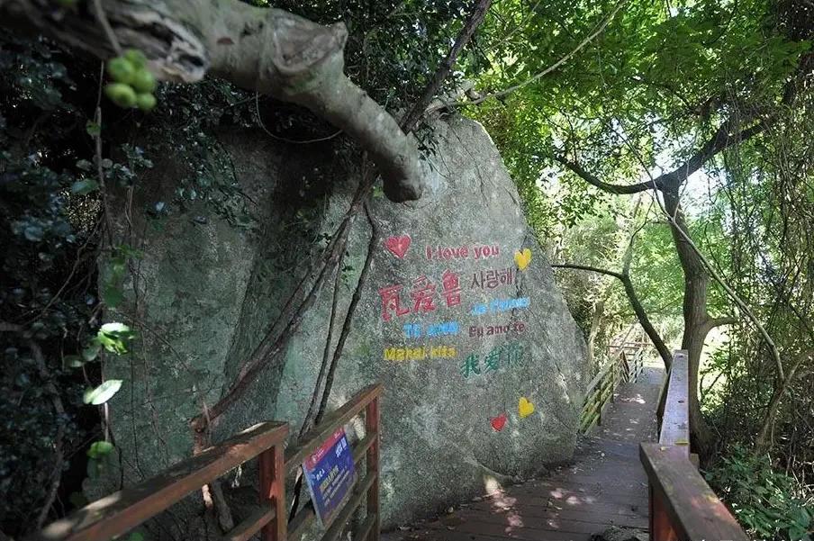 海南陵水最美的三角梅花海,陵水香水湾红角岭滑翔伞