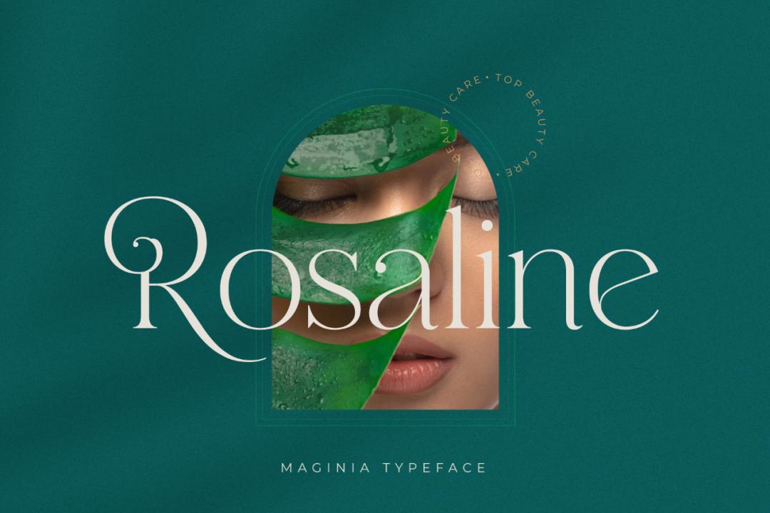 ttf纯英文好看字体,ttf英文字体