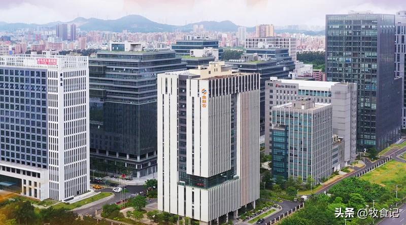 金新农预计出栏80万,金新农经营的范围很多吗