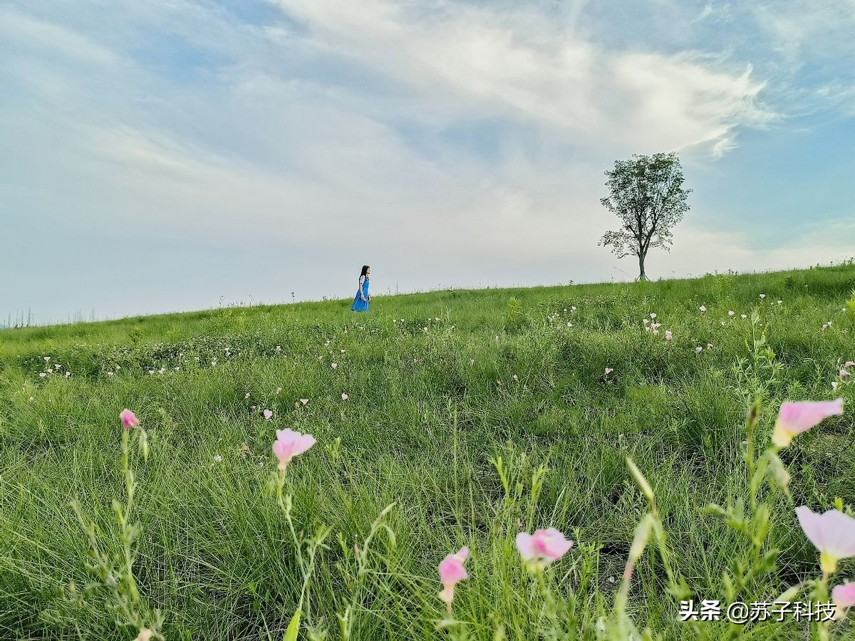 手机影像下半场就像足球赛用户真实需求是赢得比赛的绝杀技