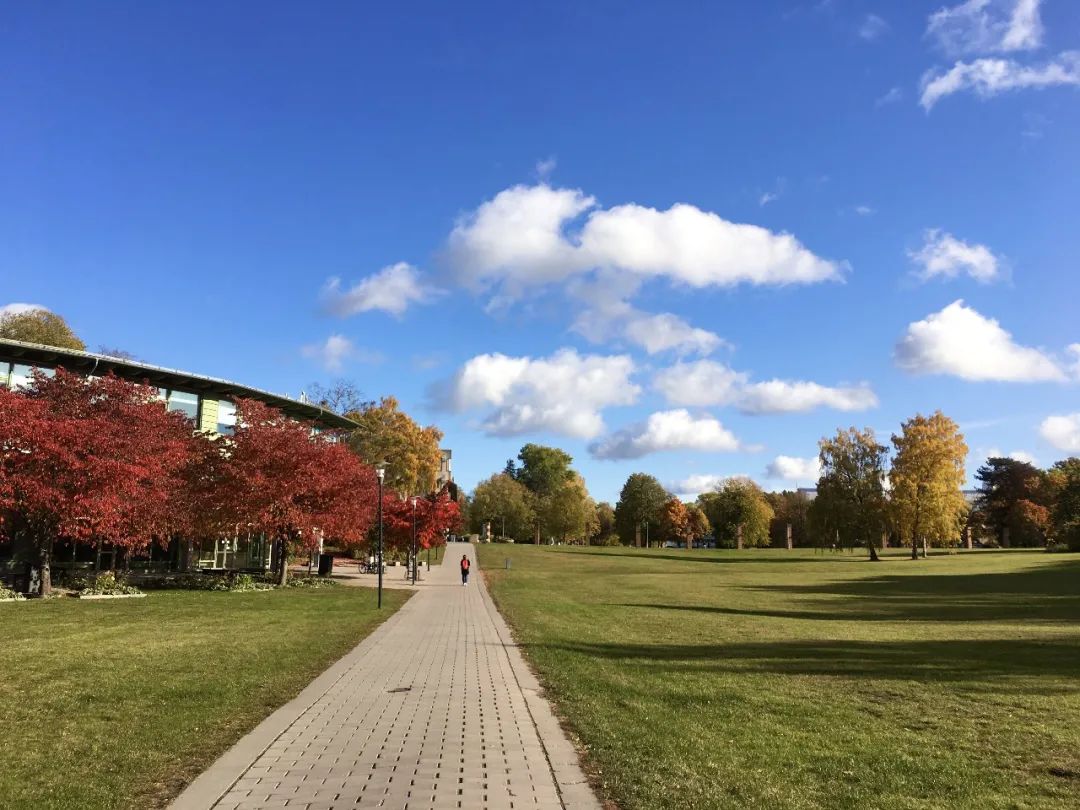生活在瑞典的真实感受,在瑞典生活的日常
