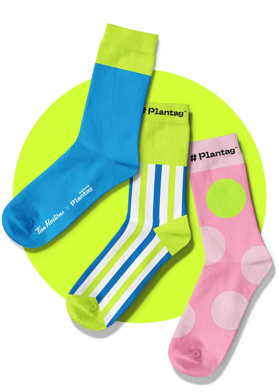 #植物标签搞大事！活捉圣诞老人就送礼