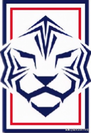 老虎代表的足球队,老虎是国内哪个足球队的队标