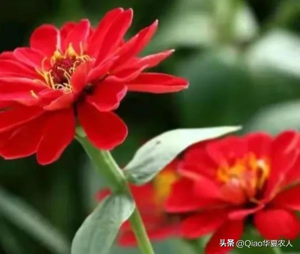 当你迷茫失去方向怎么办,当你迷失方向的时候最该做什么