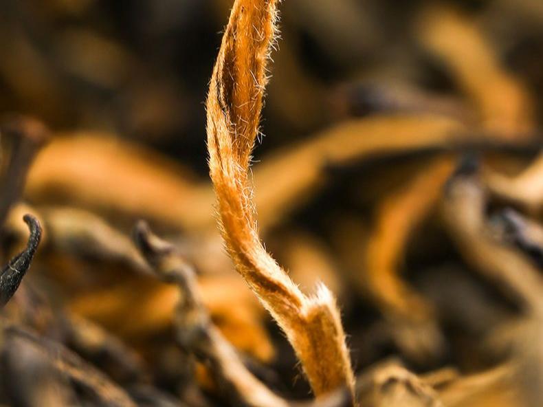 什么绿茶适合老年人喝还好喝,哪种绿茶适合老年人喝