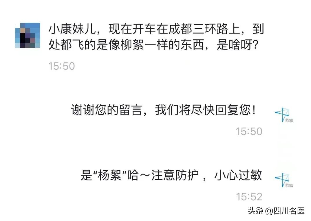 成都大街小巷最新消息,现在疫情下的成都大街