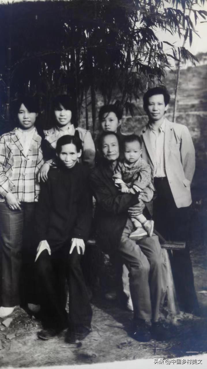 乡土散文,乡土散文完整版