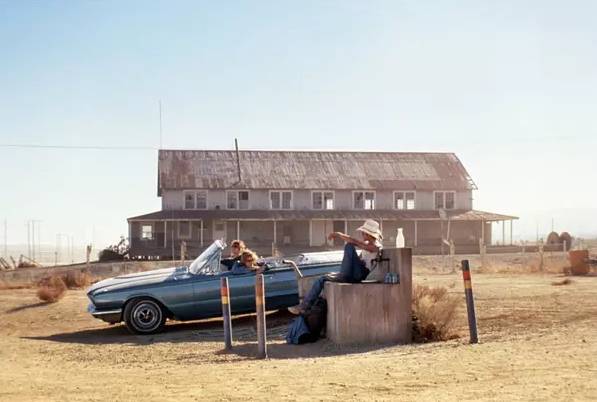 末路狂花：女性反抗与自我解放的社会批判与文化反思