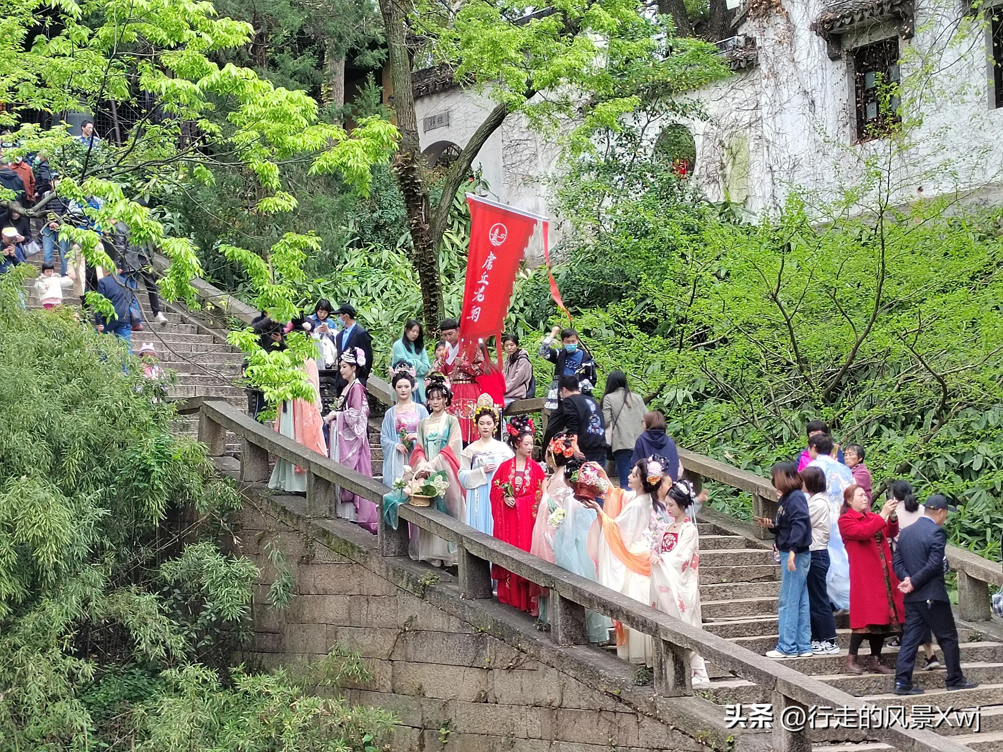 烟花三月下江南猜生肖,苏州江南农耕文化园烟花