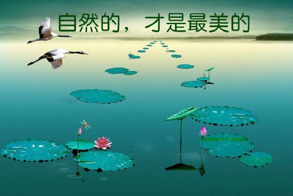 我爱大自然美术字,我爱大自然美景