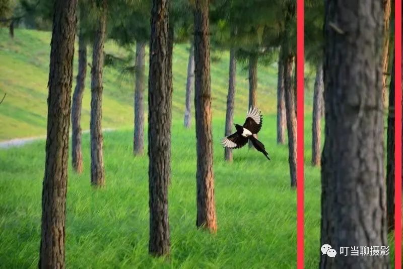 照片拍摄现场分享,说说摄影组照怎么拍摄