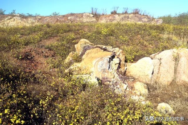 大连金普新区石槽村的那片玫瑰石，你去看过吗？