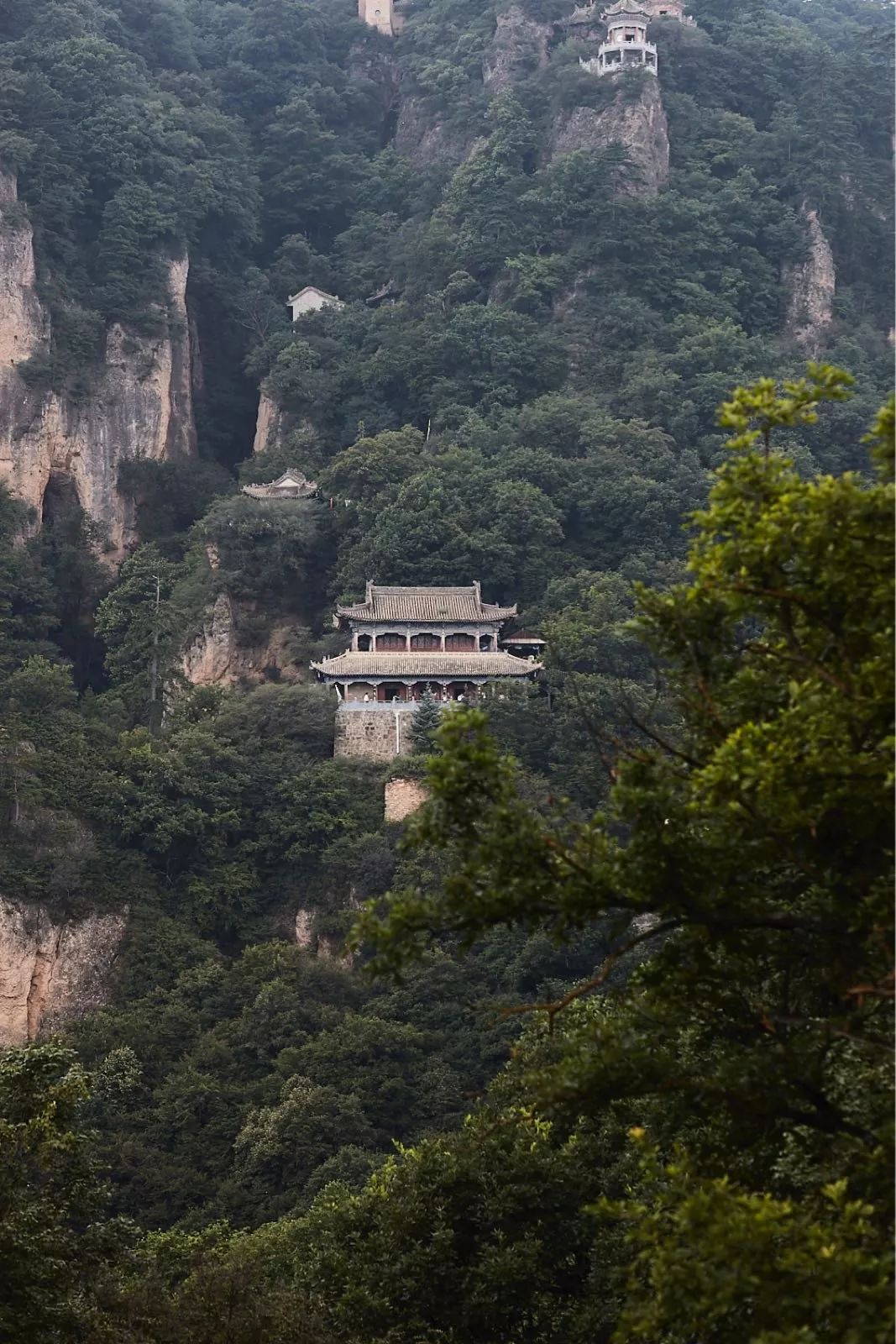 吃到嗓子眼的牛肉面,吃到嗓子眼的榴莲自助