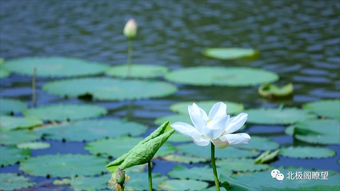 閿愯鏁欒偛,閿愯浼橀泤