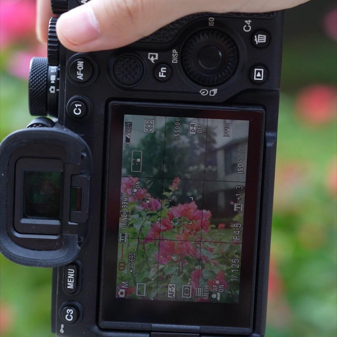 用高级微单单反拍照老是模糊画质不高清一定要看完这个视频...