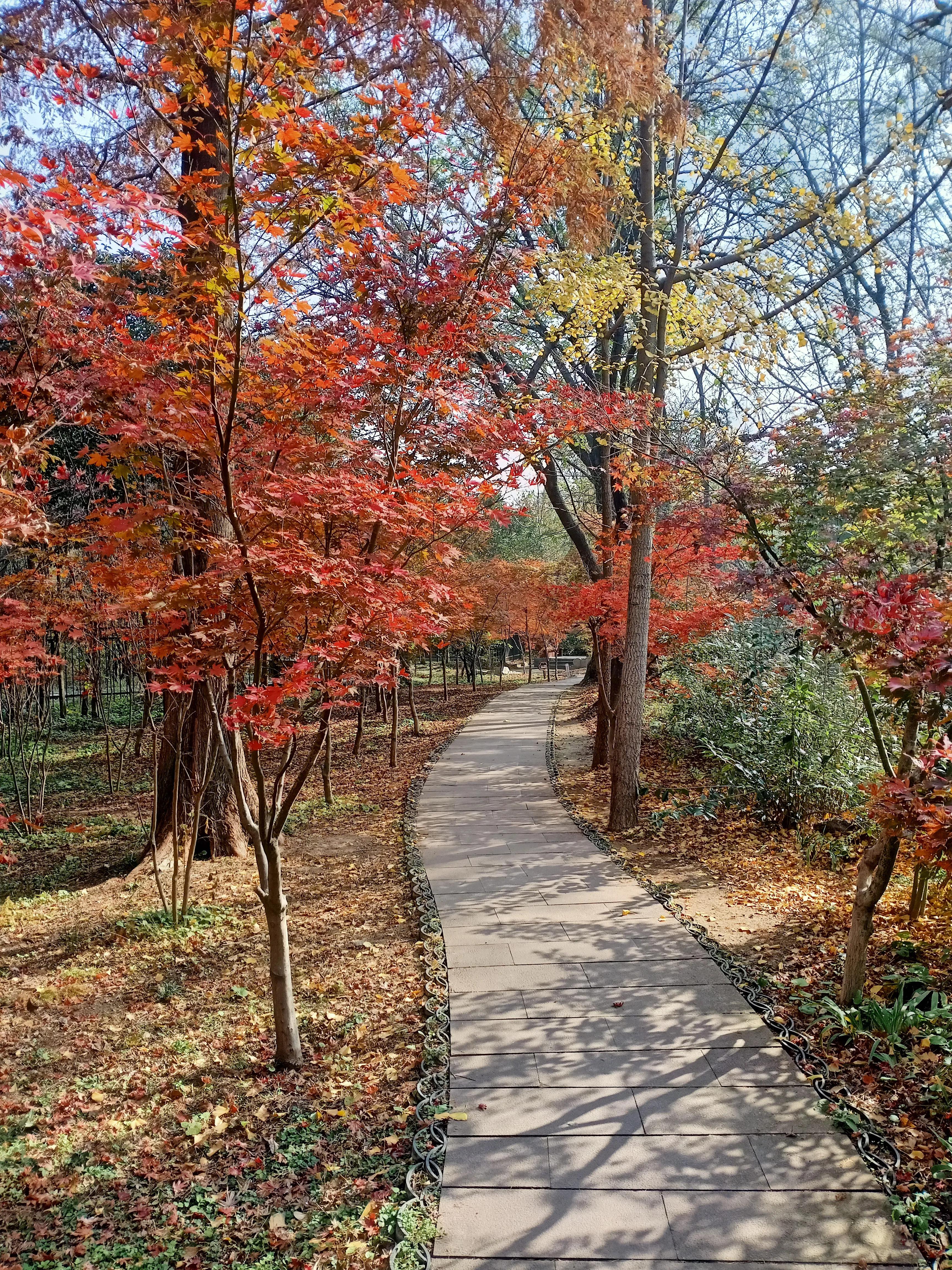 局长夫人私约小说免费阅读,局长夫人的二次约会10