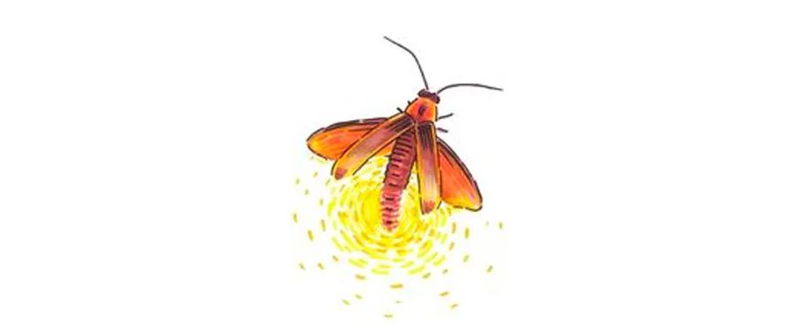 萤火虫的画法儿童画,夜晚怎么画简单又漂亮萤火虫