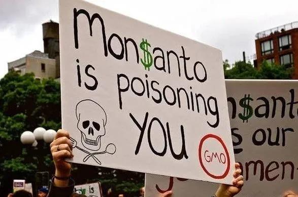 转基因种子全是孟山都的吗,孟山都的种子都是转基因吗