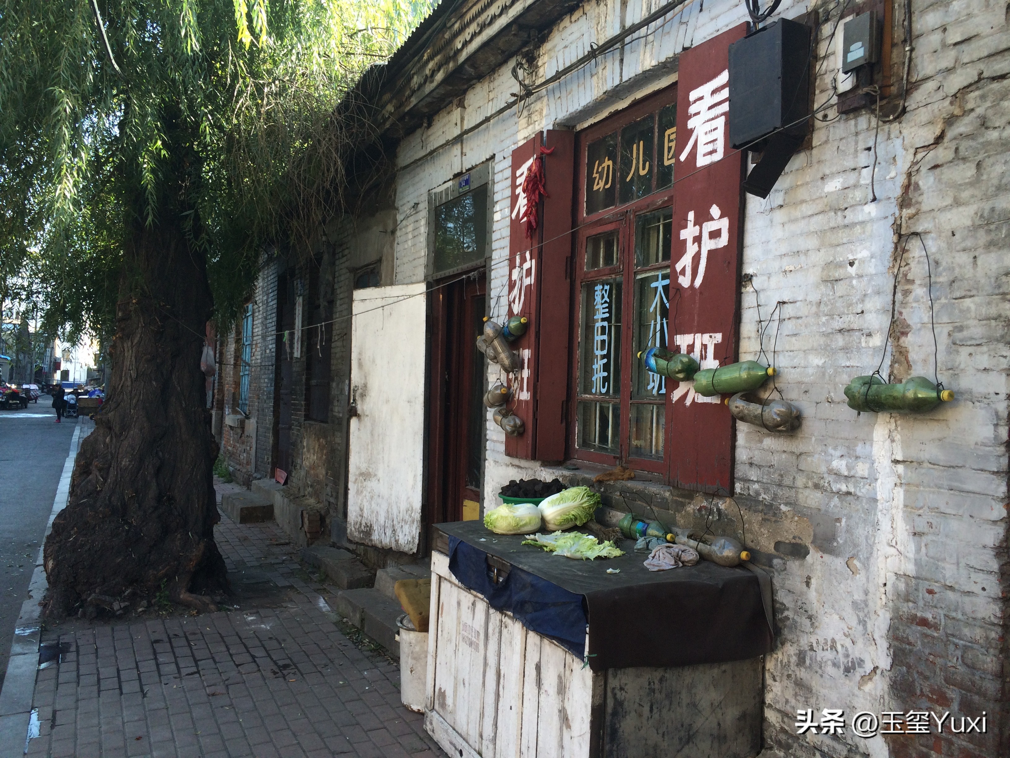 哈尔滨2005年真实故事改编,哈尔滨南岗是道里还是道外