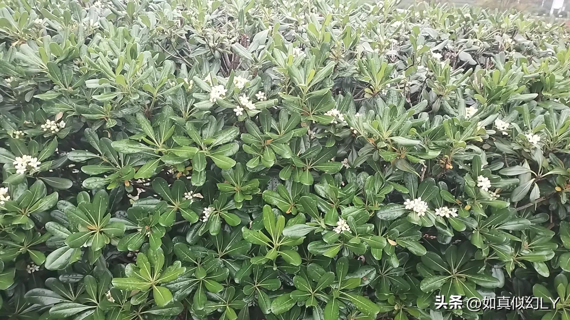 全职写小说一个月能赚多少钱,新手写五百万字的小说能挣多少钱