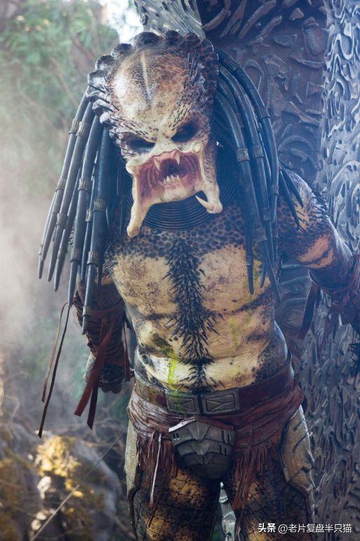 铁血战士系列和异形系列,铁血战士进化铁血异形