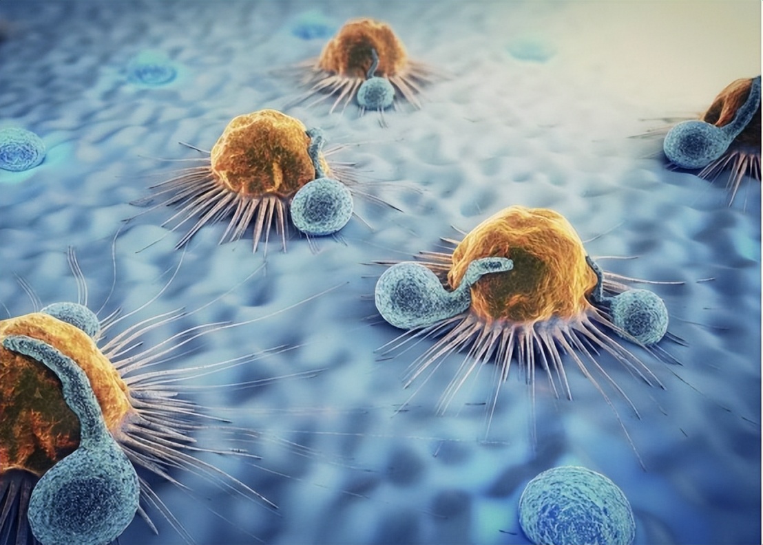 子宫性不孕症诊断与治疗,子宫发育不良性不孕确诊检查