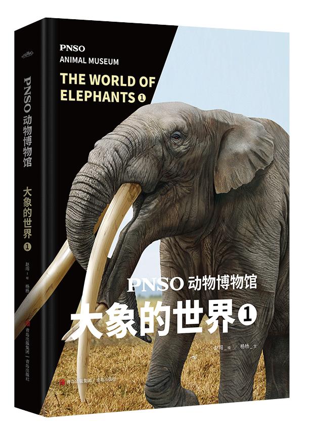 近距离接触大象了解大象,爱大象的原因