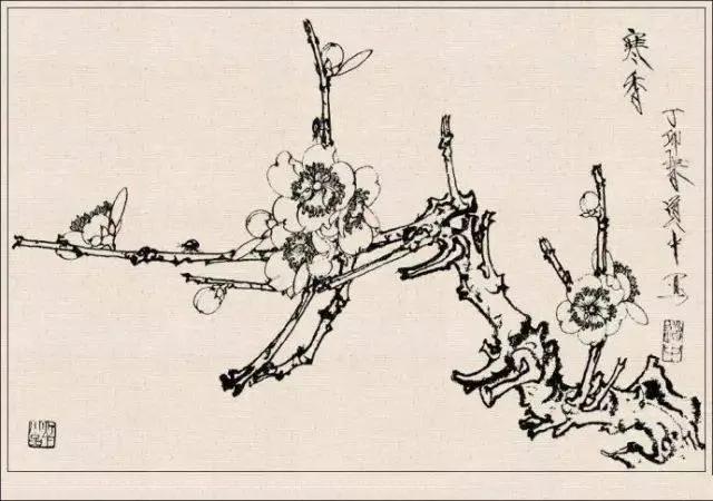 工笔草虫白描王道中,写意花鸟画草虫绘画过程分享