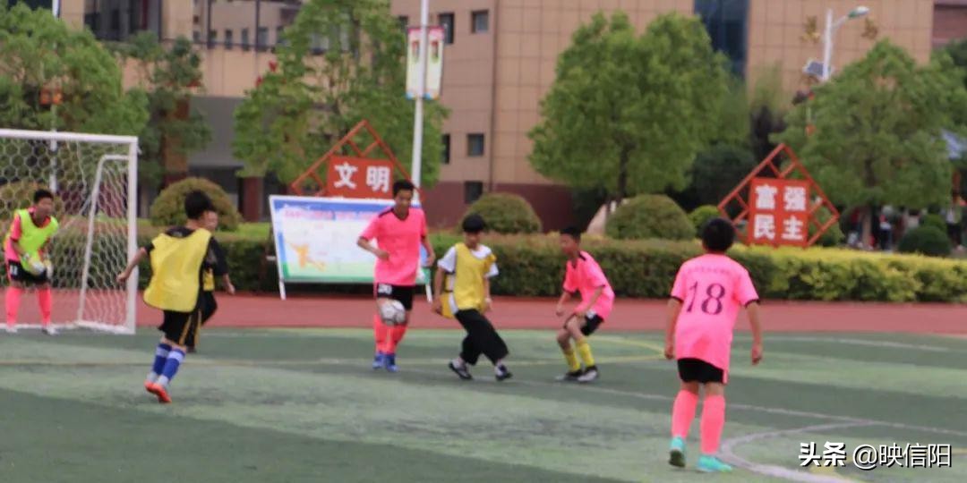息县二高校长杯2024冠军,息县第九小学运动会