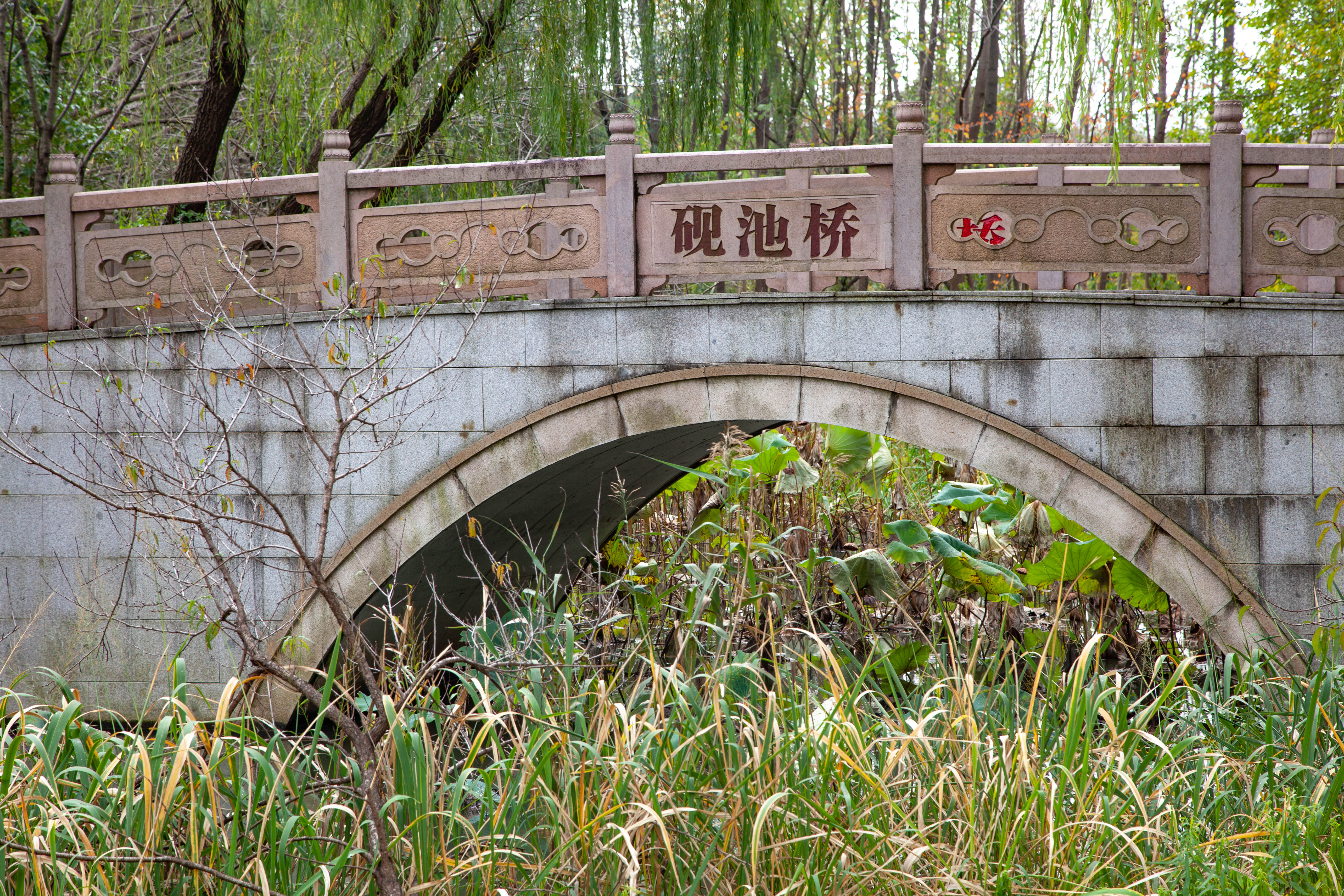 宝山顾村历史,上海宝山顾村老街