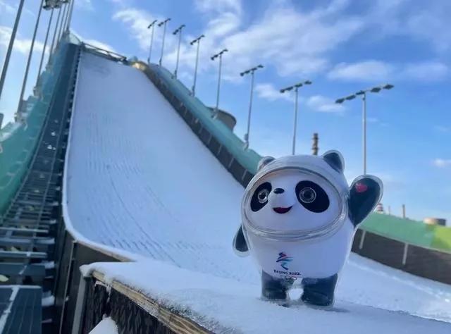 私自售卖冰墩墩判多久,3人高价卖冰墩墩