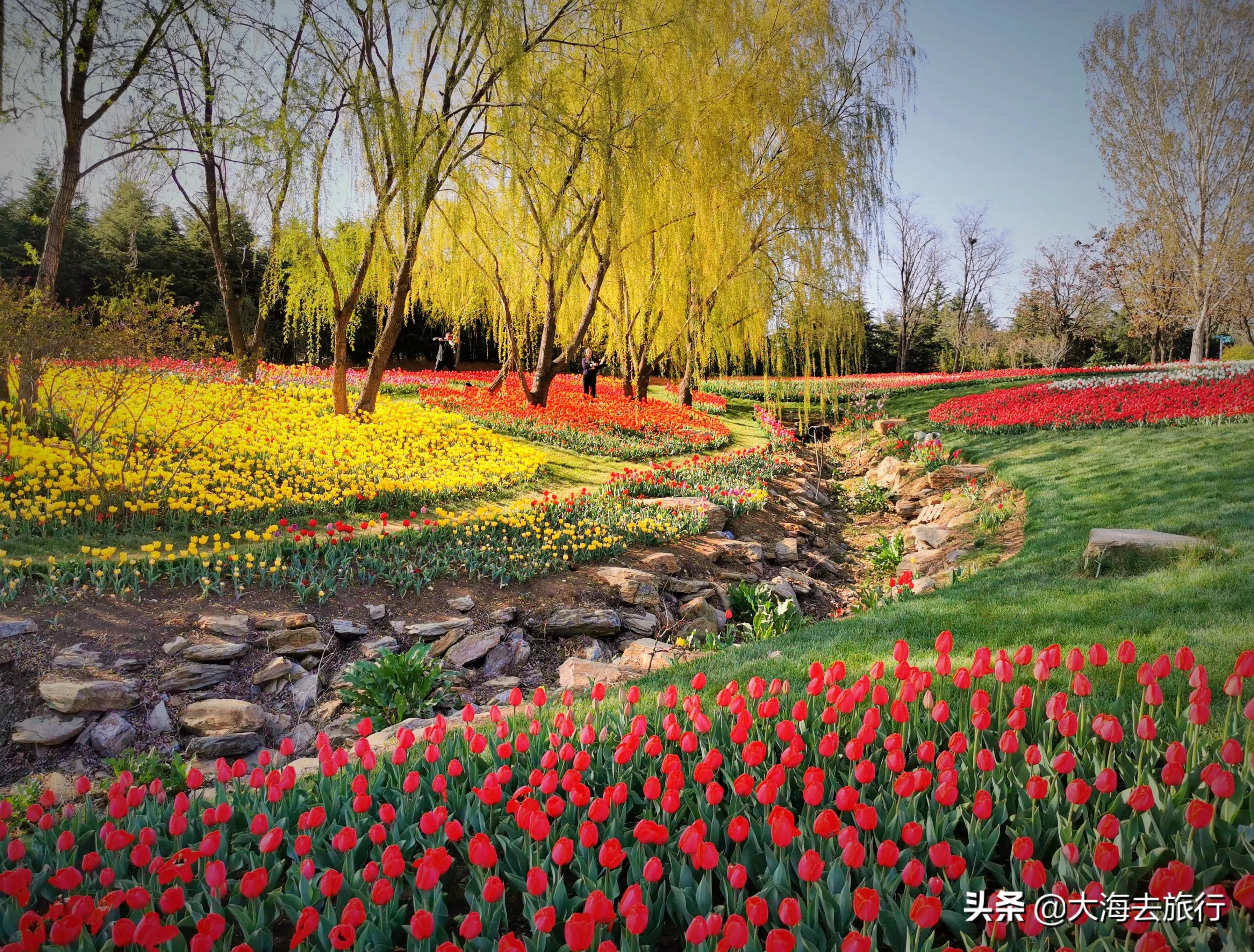 大连亲子游旅游攻略,大连十一旅游攻略亲子游