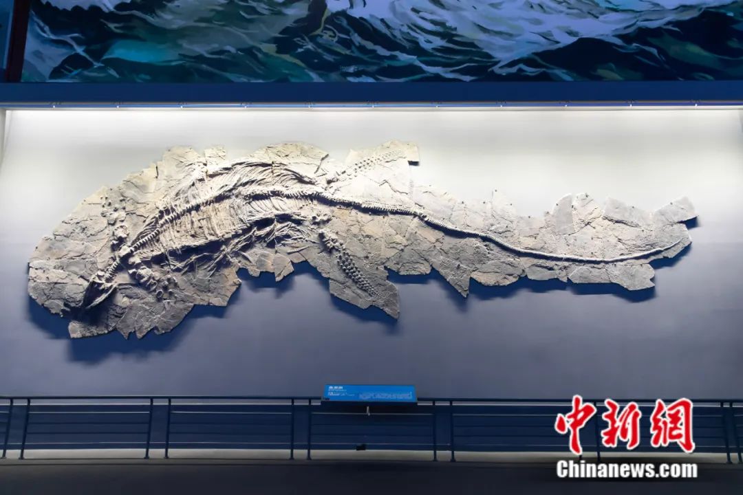 在天津总要去趟天津之眼吧,天津是不是一生都要去一次