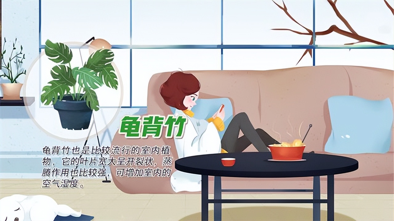 冬季天气干燥房间保湿,冬季室内干燥如何保湿小窍门