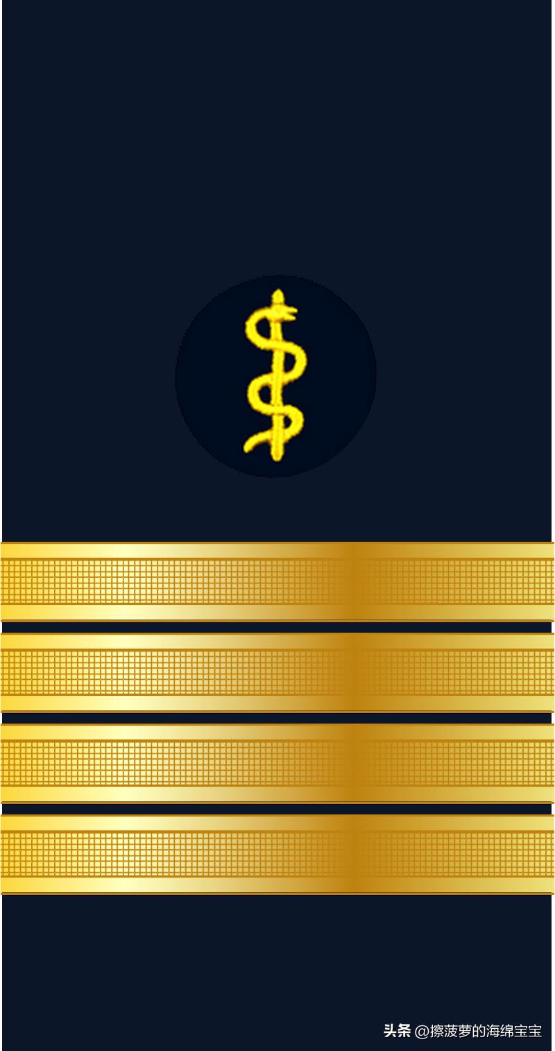 二战德国国防军医疗兵军衔标志