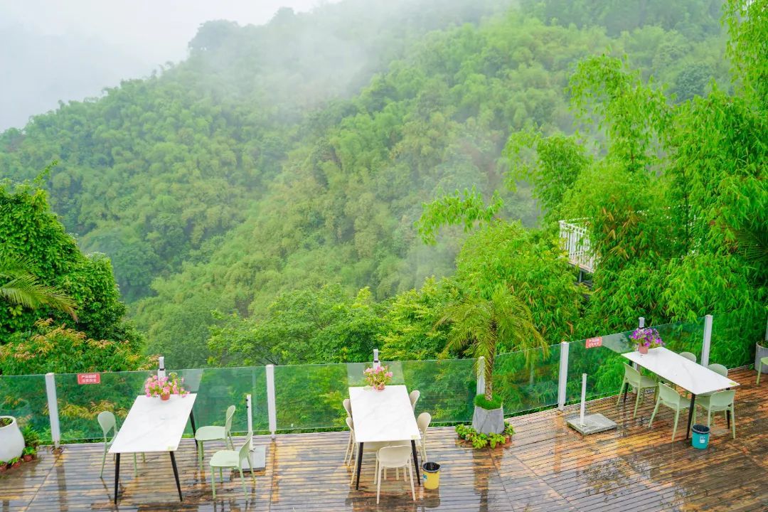 躲进山里民宿,躲在深山老林的民宿