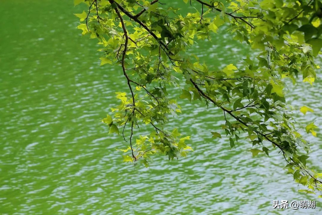 夏天去广州旅游攻略一天,广州旅游攻略一天一夜自由行