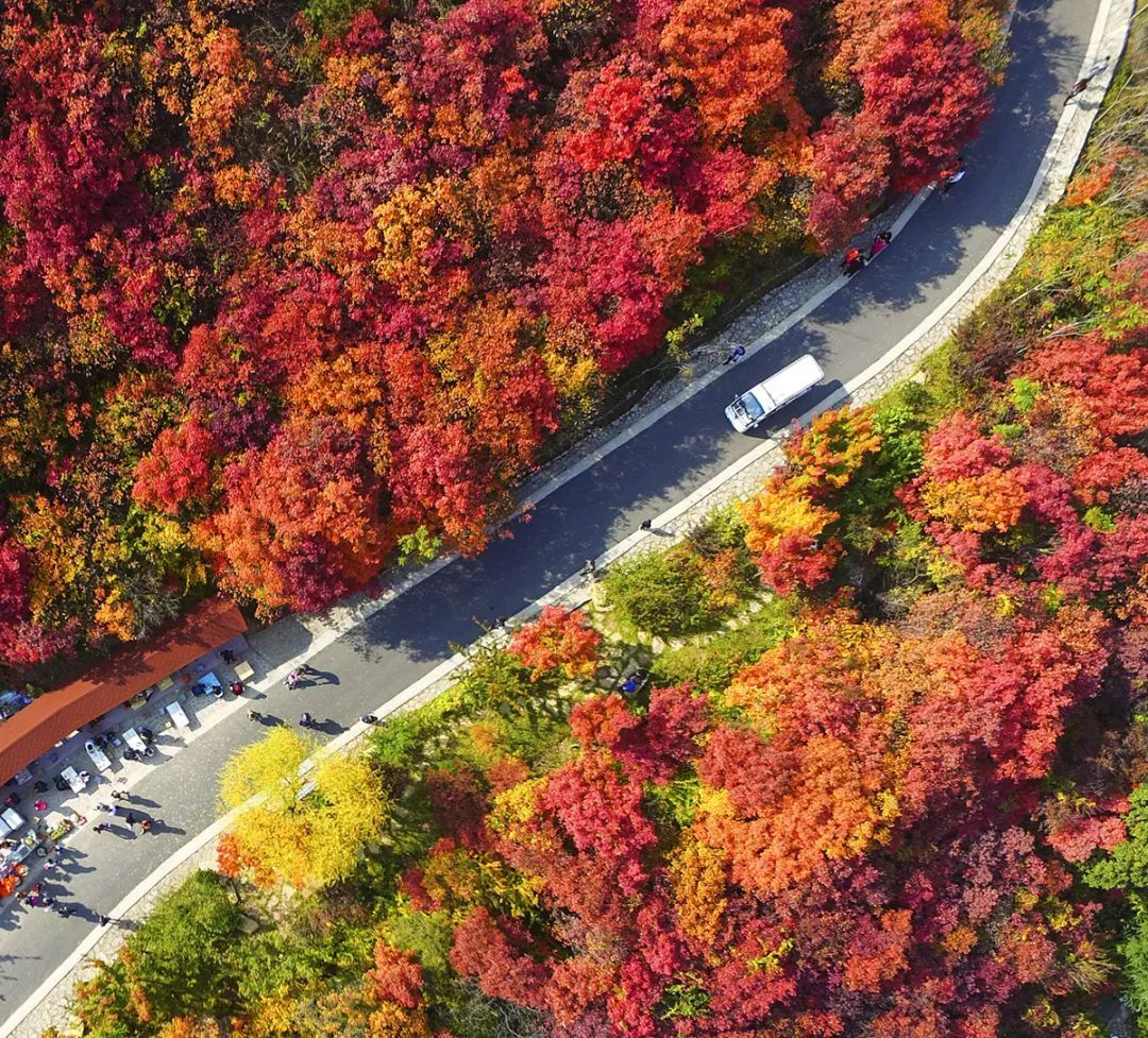 春季赏花景点有哪些,雅安周边春天赏花一日游最佳景点