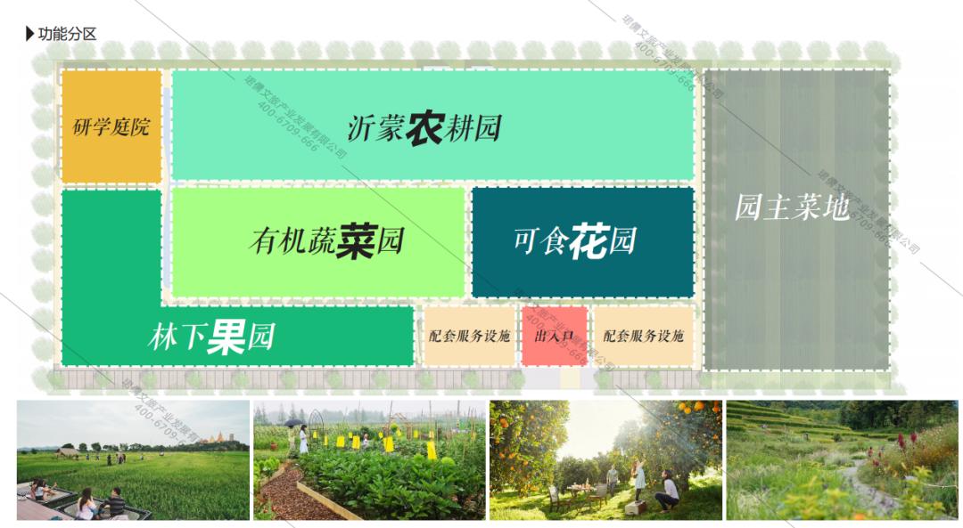 休闲农业与乡村振兴规划设计,乡村振兴农场模式