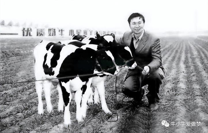 奶粉发展现状及原因,奶粉行业的谎言