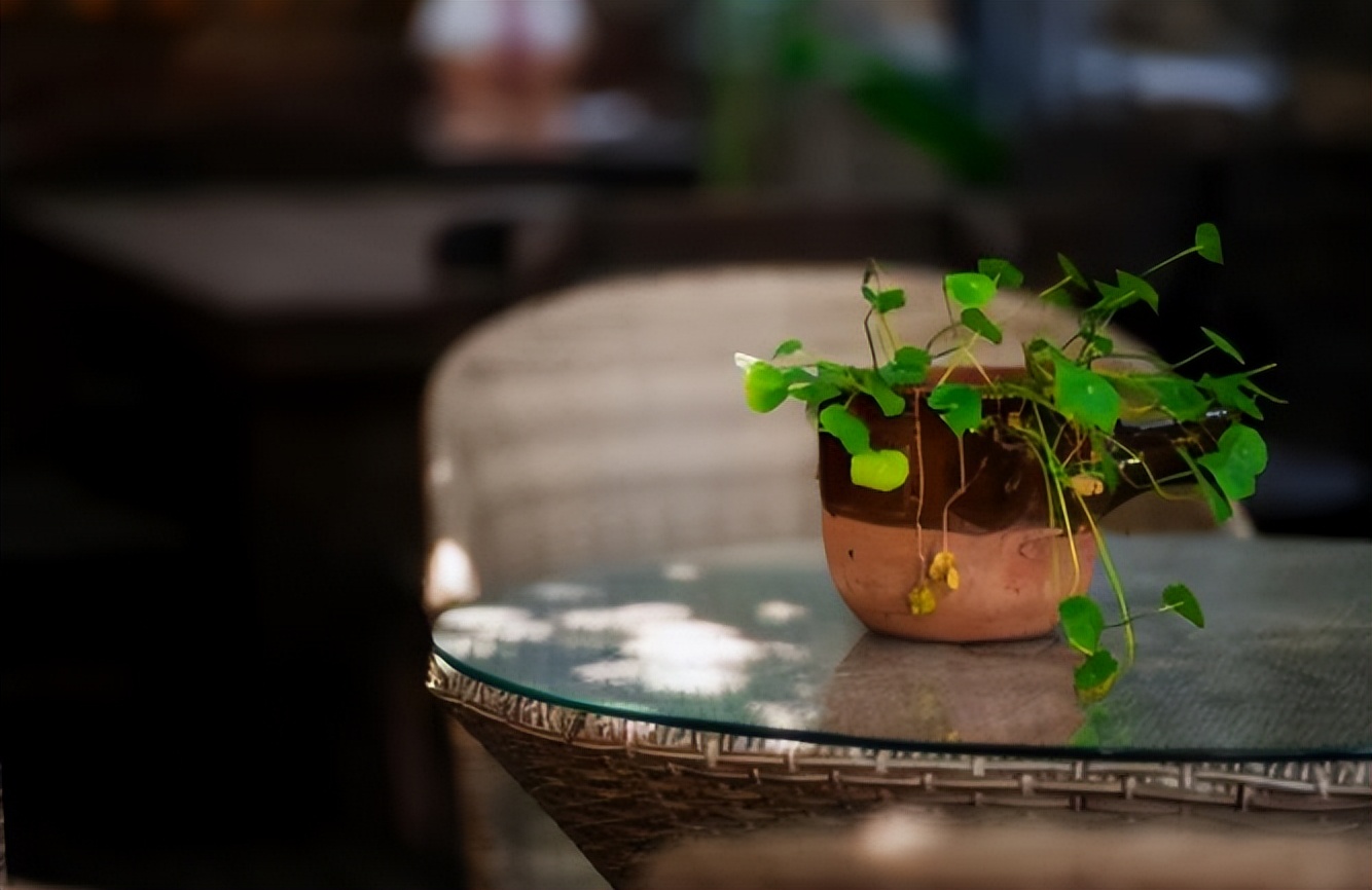 一个人的名字就是命运,一个人的名字代表他的命运