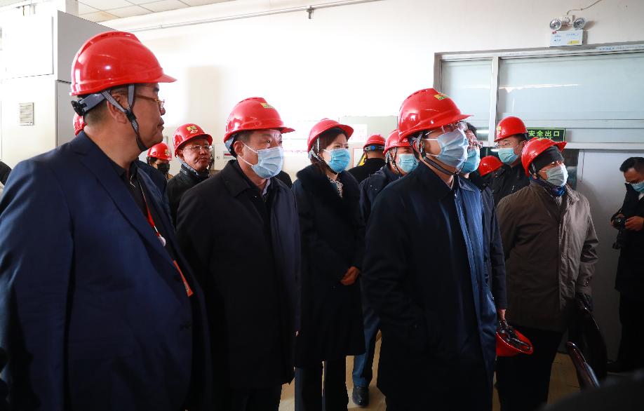 宁夏大北农肉牛浓缩料,大北农反刍饲料发展