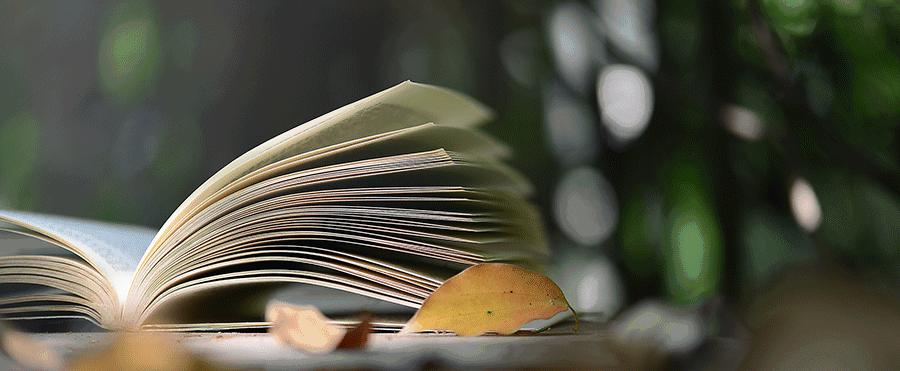 四大美人的杨玉环是传说皮肤吗,四大美人之杨玉环高清在线观看