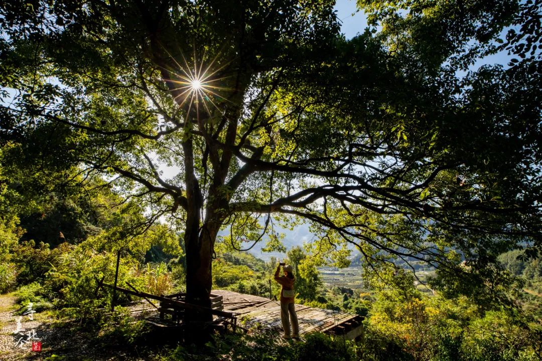 北仑步道爬山,北仑爬山路线