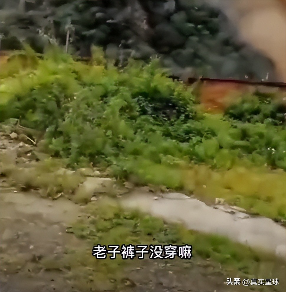 四川泸定6.8级地震伤亡点评,四川泸定6.8级地震伤亡新闻