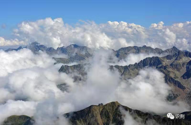 生物工程类院校排名一览表,中国顶尖生物科学学校