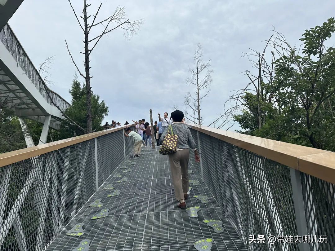 长白山二道白河旅游攻略7月游,自驾二道白河长白山旅游攻略